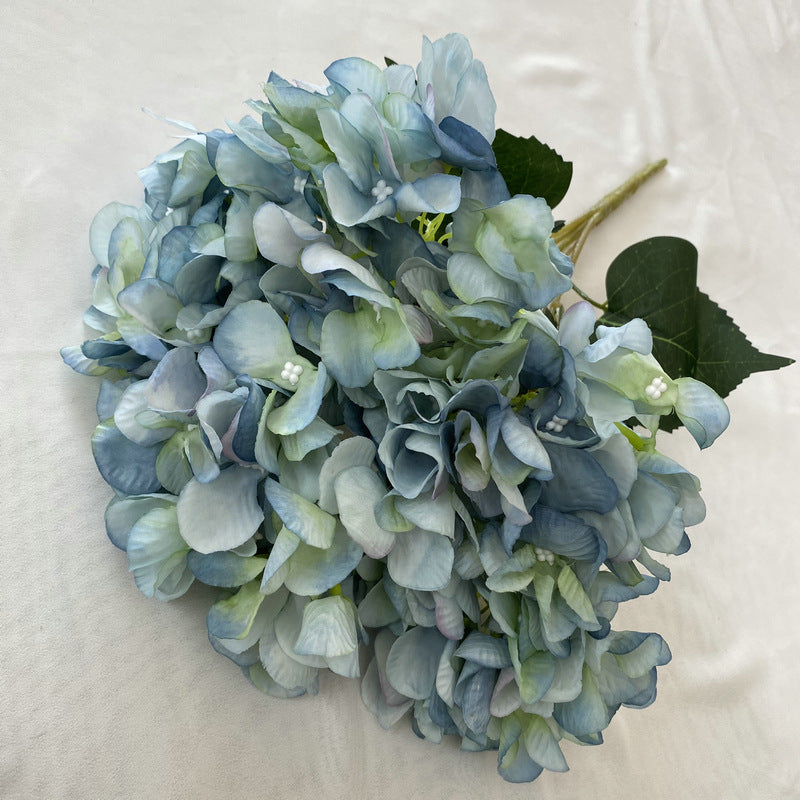 H0022 Hydrangea