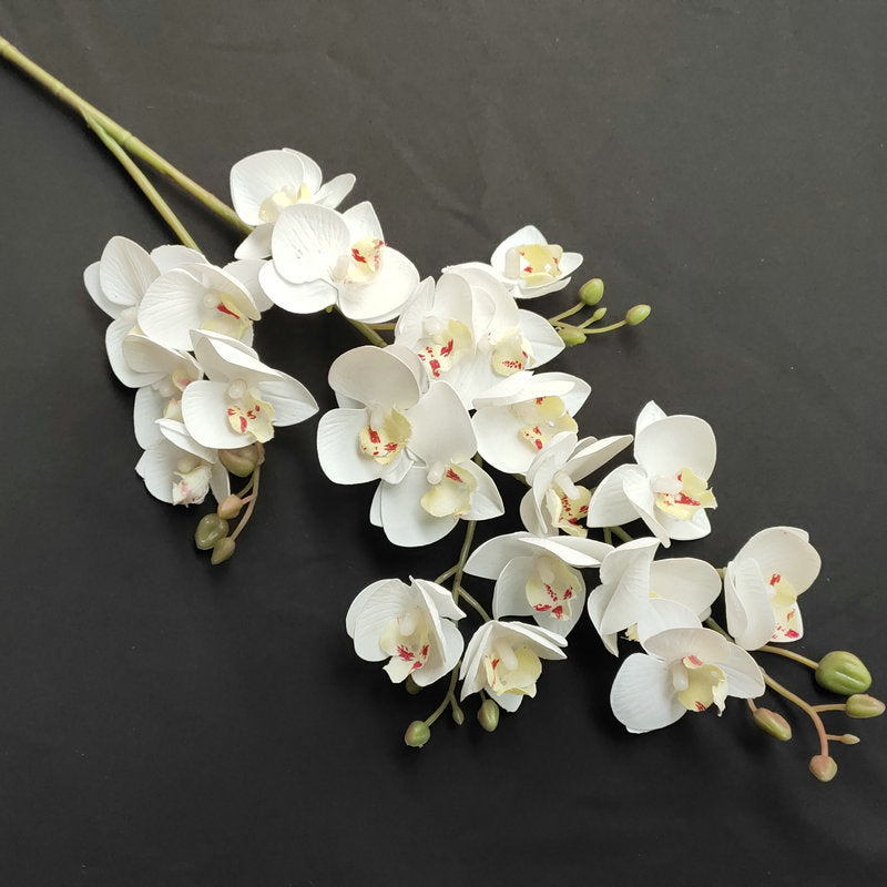 O0015 3D printed twenty-one phalaenopsis