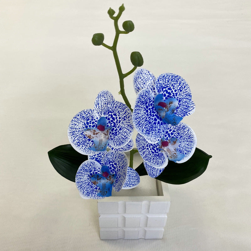 O0014 3D printed LS Phalaenopsis