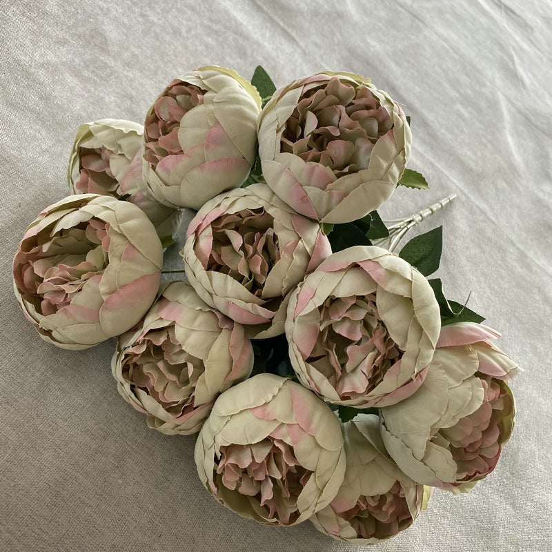 P0025 Ten round peonies