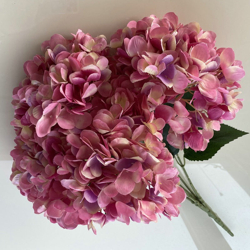 H0006 Hydrangea