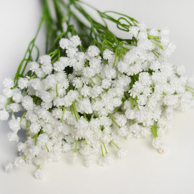 babysbreath05