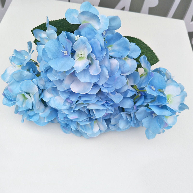 H0031 Hydrangea