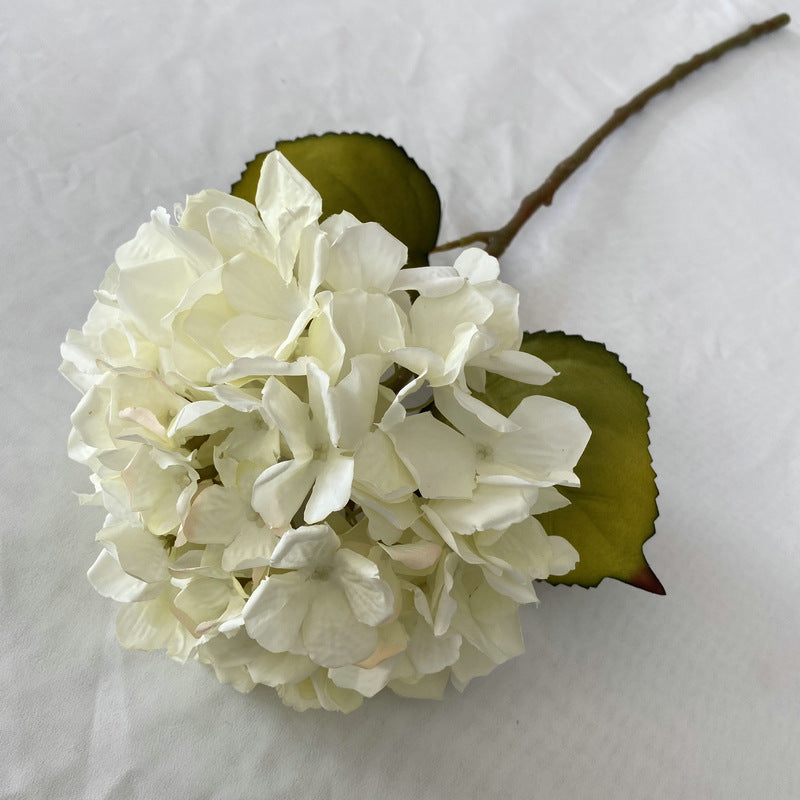 H0011 Hydrangea