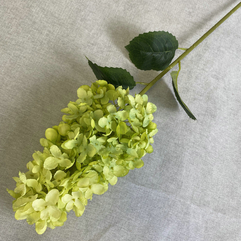 H0009 Hydrangea