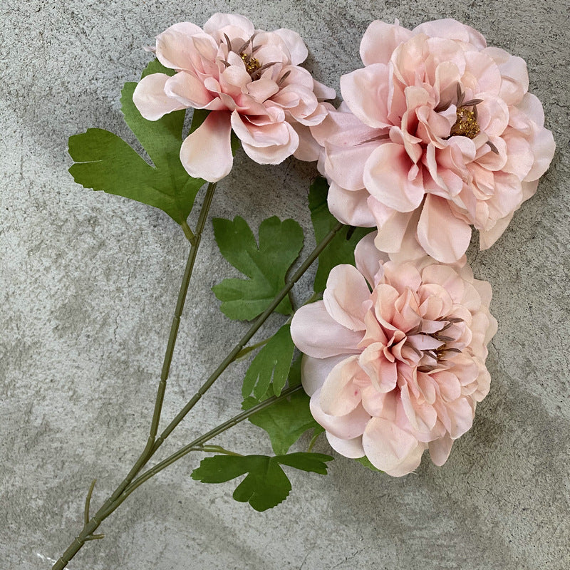 P0019 Three-headed Tianzhu Peony