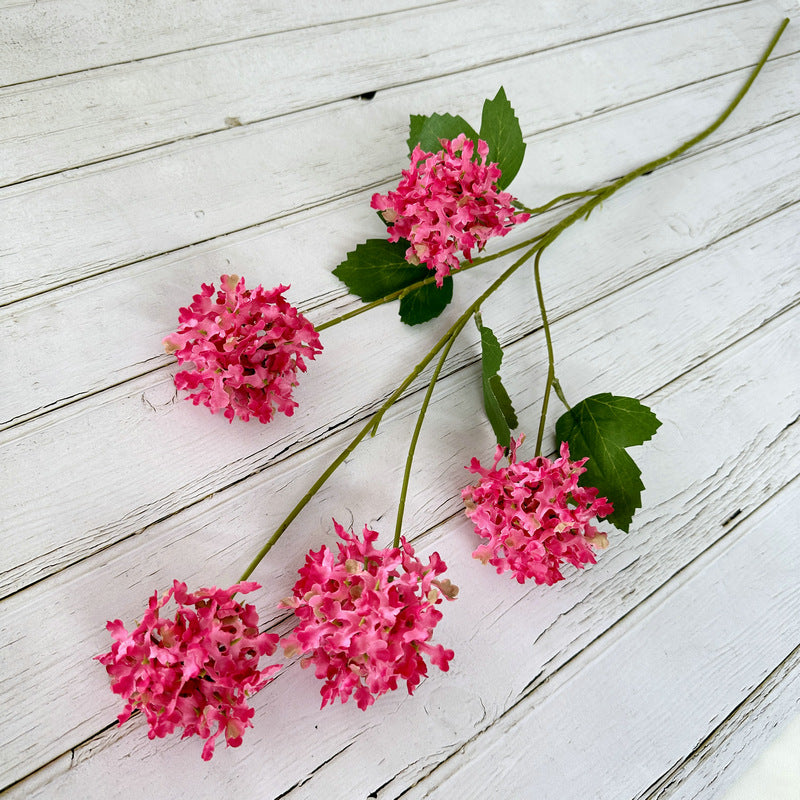 H0014 Hydrangea