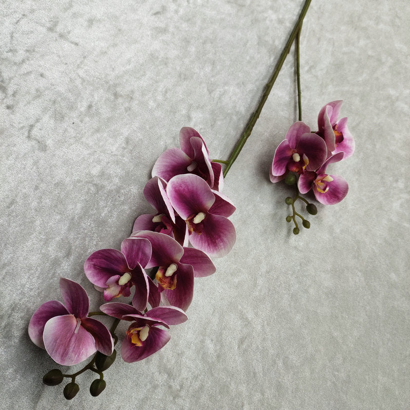 O0018 3D printed phalaenopsis with ten heads and two prongs