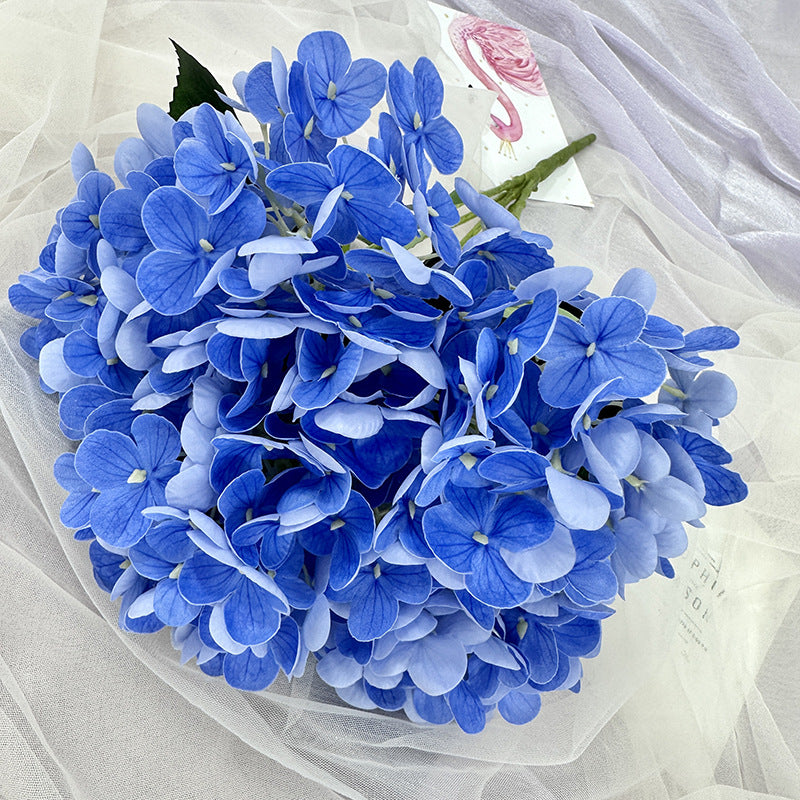 H0039 Hydrangea