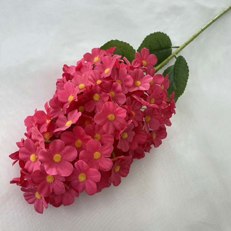 H0041 Hydrangea