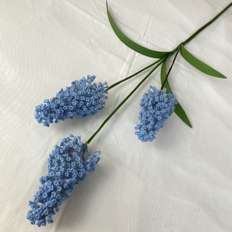 H0036 Hydrangea