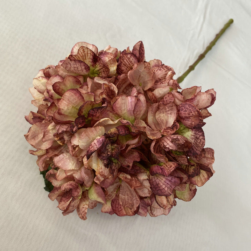 H0029 Hydrangea