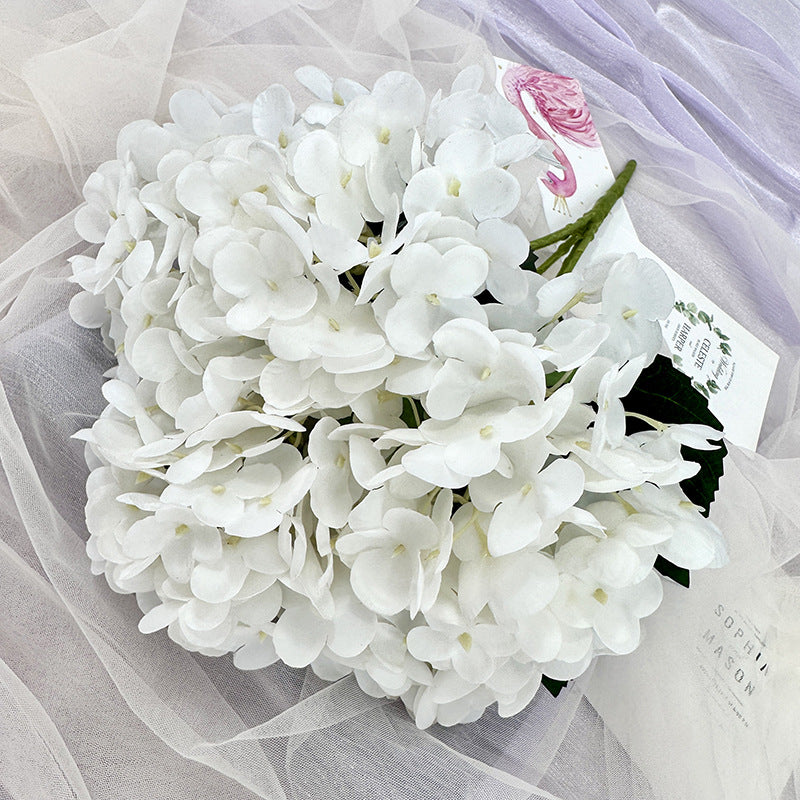 H0039 Hydrangea