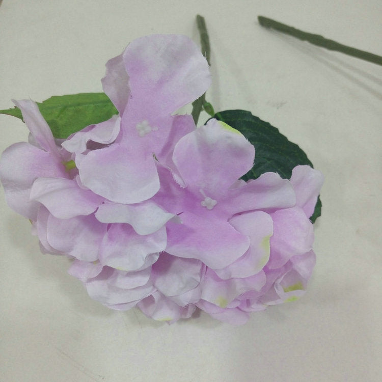 H0028 Hydrangea