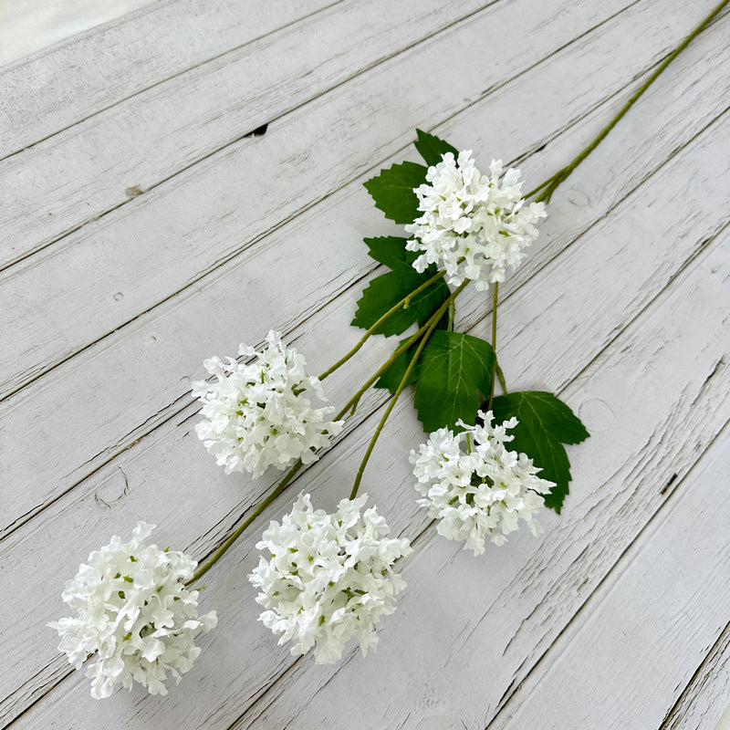 H0014 Hydrangea