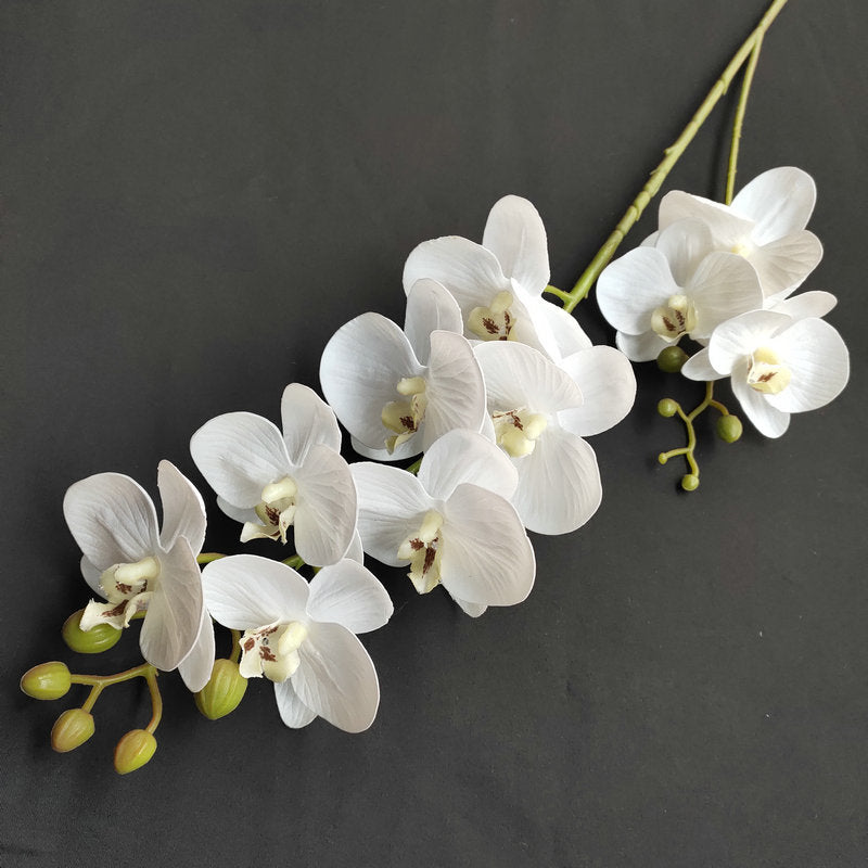 O0018 3D printed phalaenopsis with ten heads and two prongs