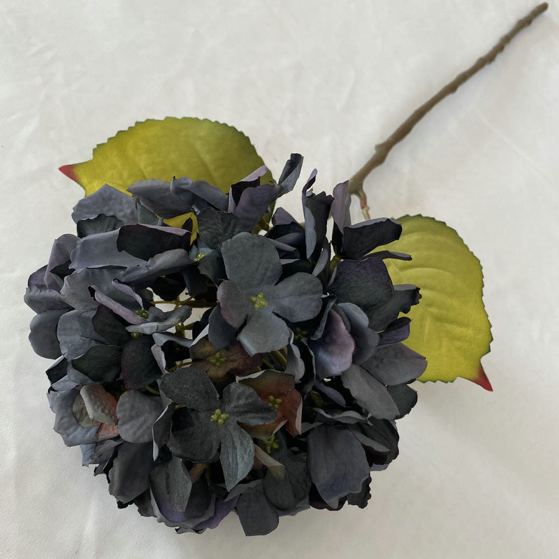 H0011 Hydrangea