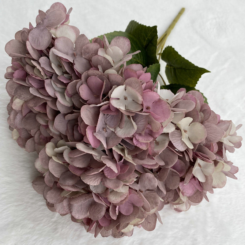 H0025 Hydrangea