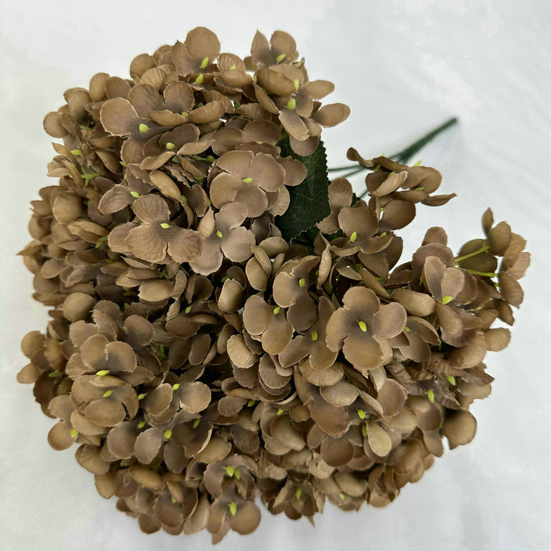 H0020 Hydrangea