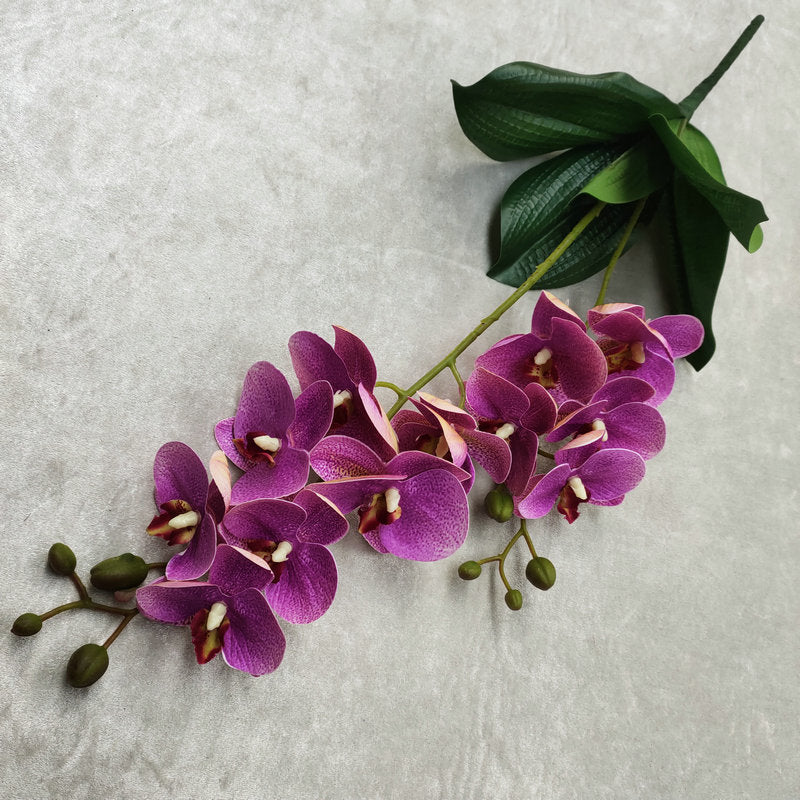 O0016 3D printed double-forked twelve-headed Phalaenopsis with leaves