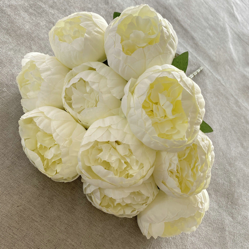 P0025 Ten round peonies