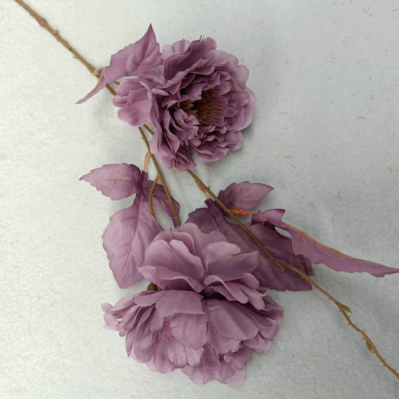 P0043 Peony