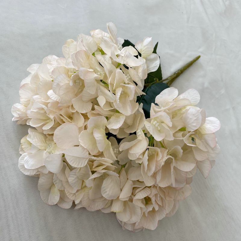 H0022 Hydrangea