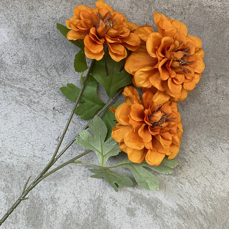 P0019 Three-headed Tianzhu Peony