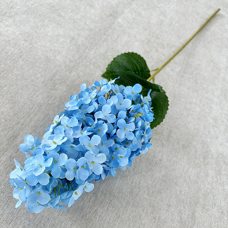 H0032 Hydrangea