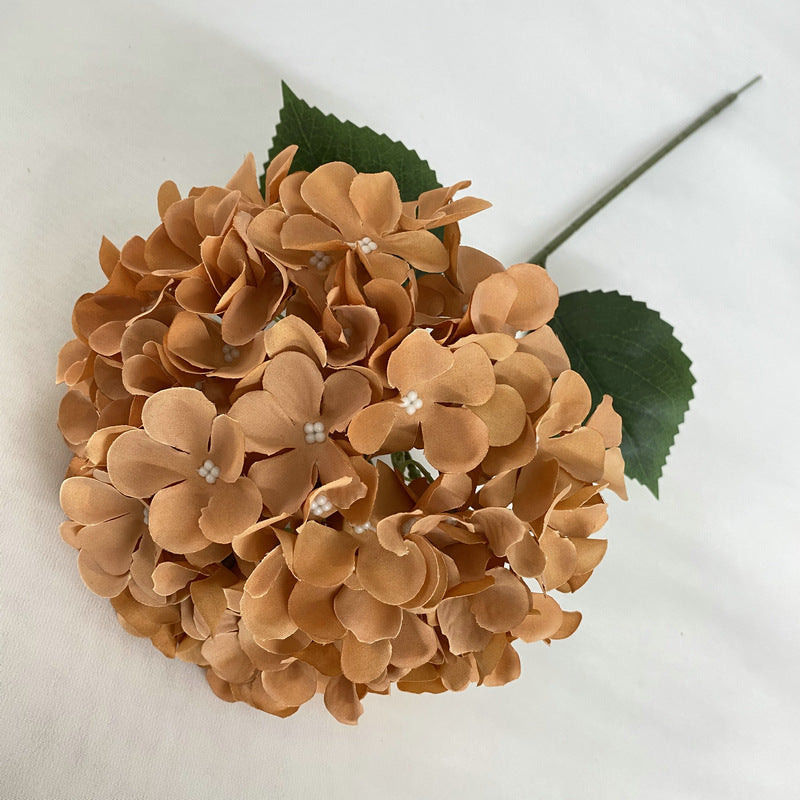 H0001 Hydrangea