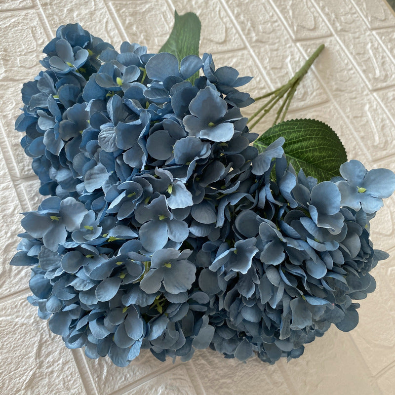 H0027 Hydrangea