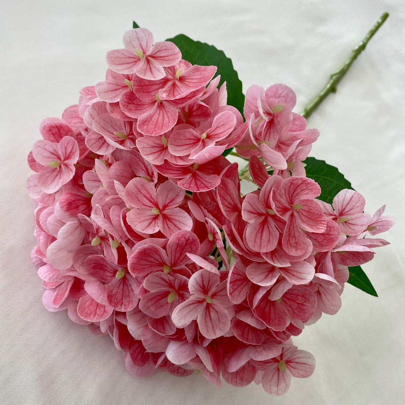 H0003 Hydrangea