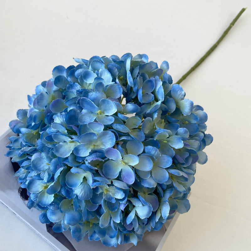 H0012 Hydrangea