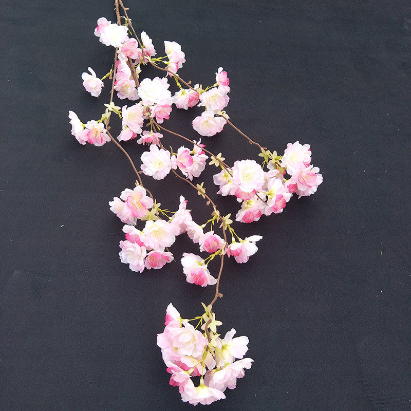 Cherry blossoms 012