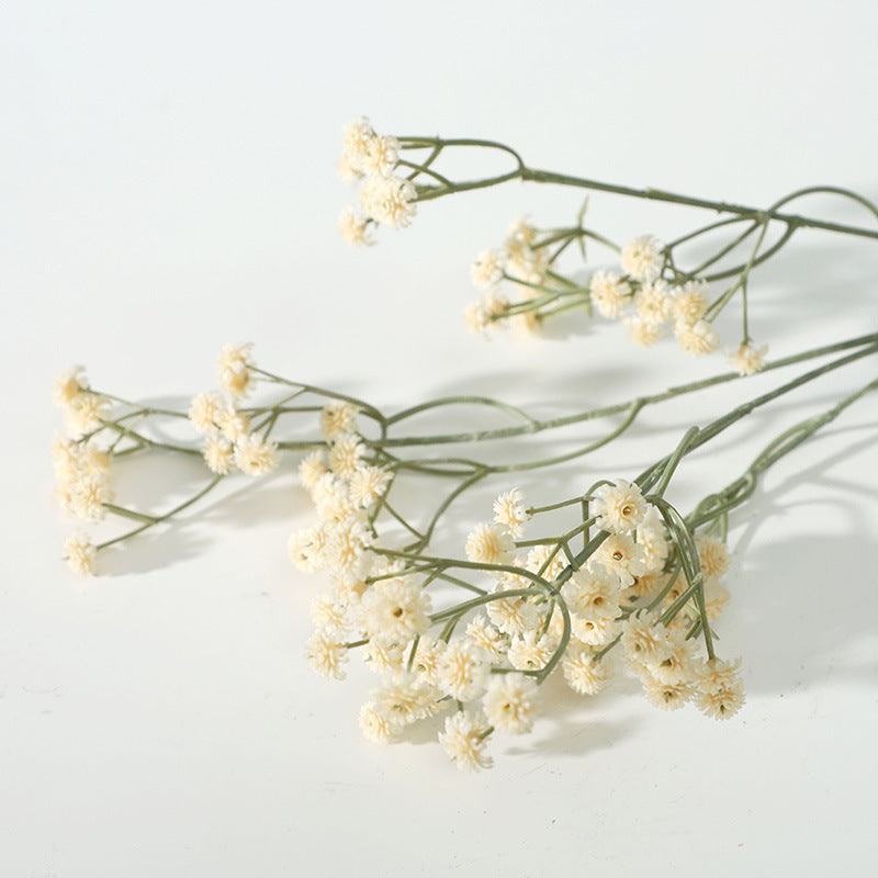 babysbreath018