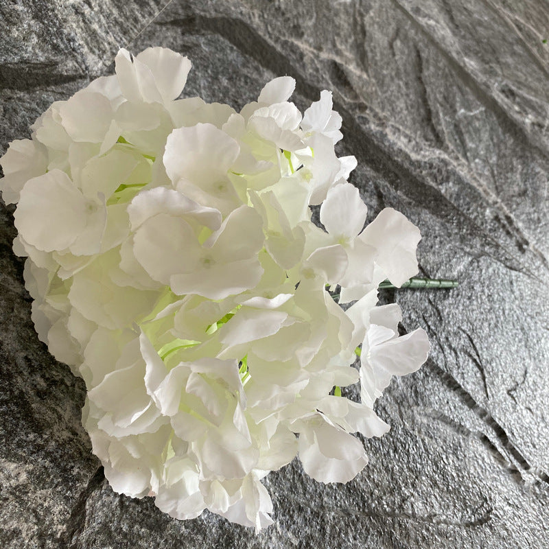 H0002 Hydrangea