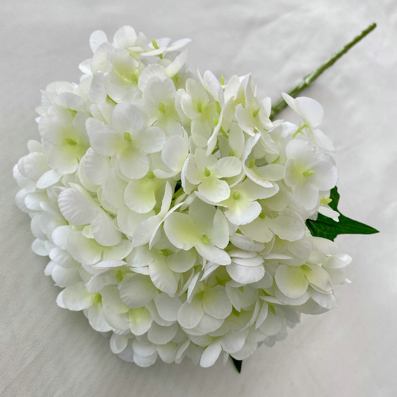 H0003 Hydrangea