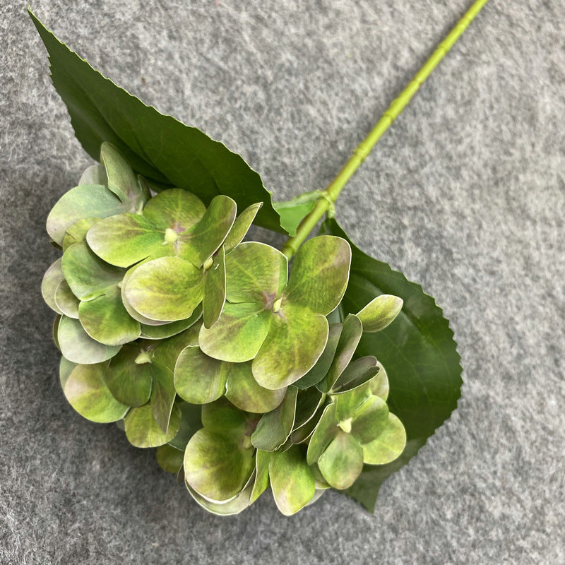 H0048 Hydrangea