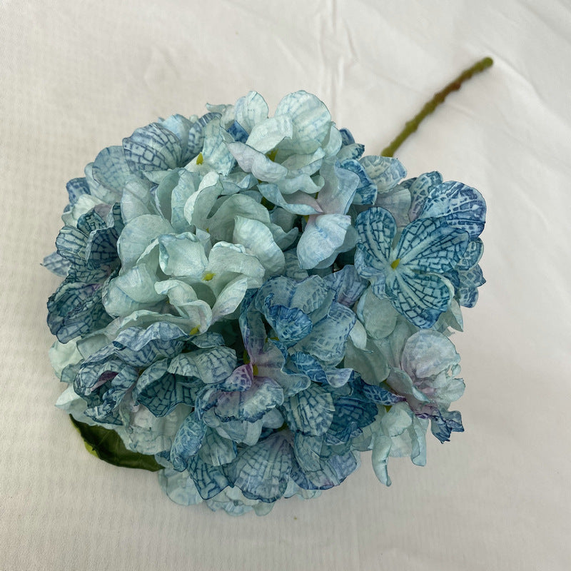 H0029 Hydrangea