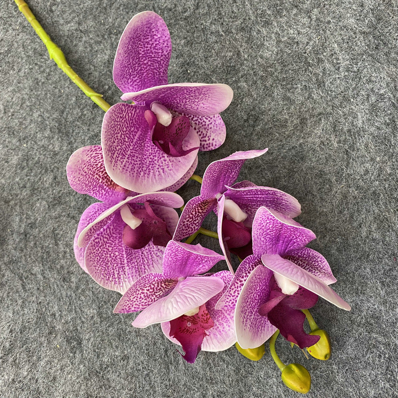 O0004 3D printed 5-head Phalaenopsis