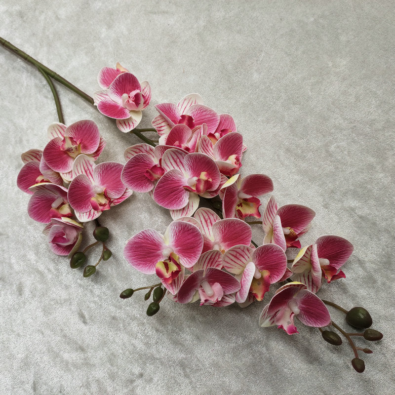 O0015 3D printed twenty-one phalaenopsis