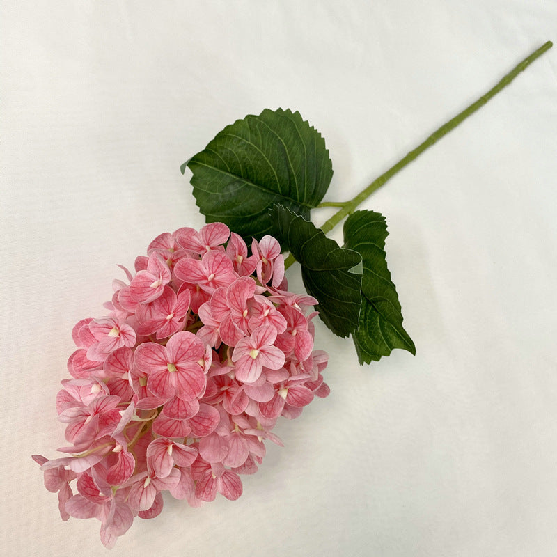 H0042 Hydrangea