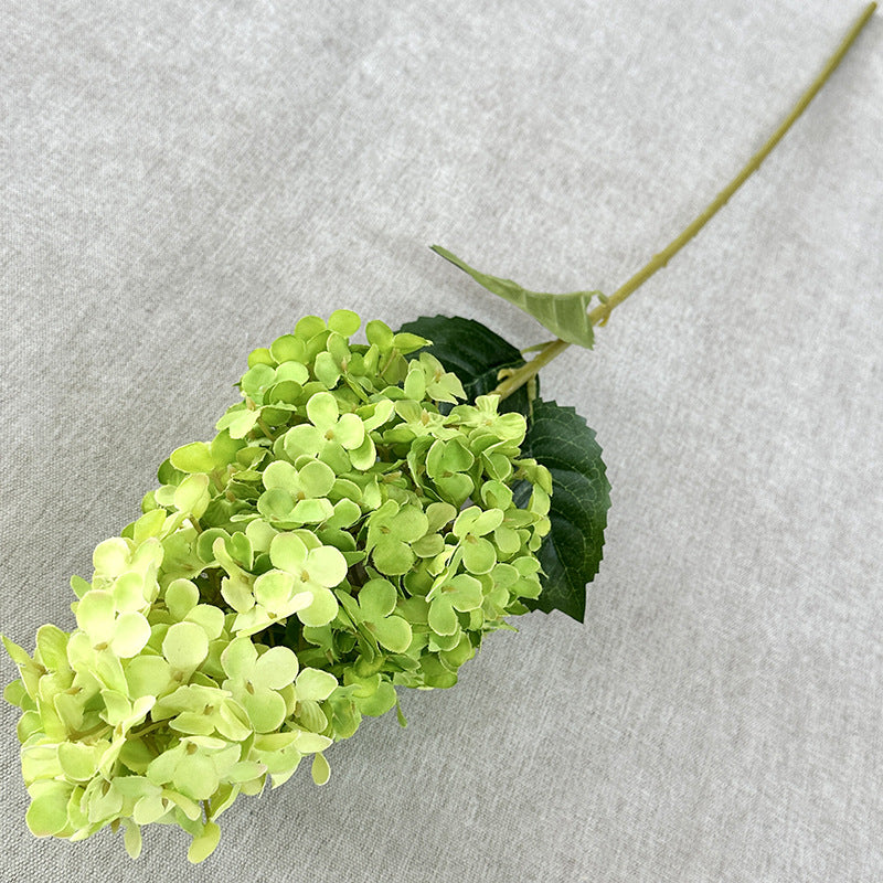 H0032 Hydrangea