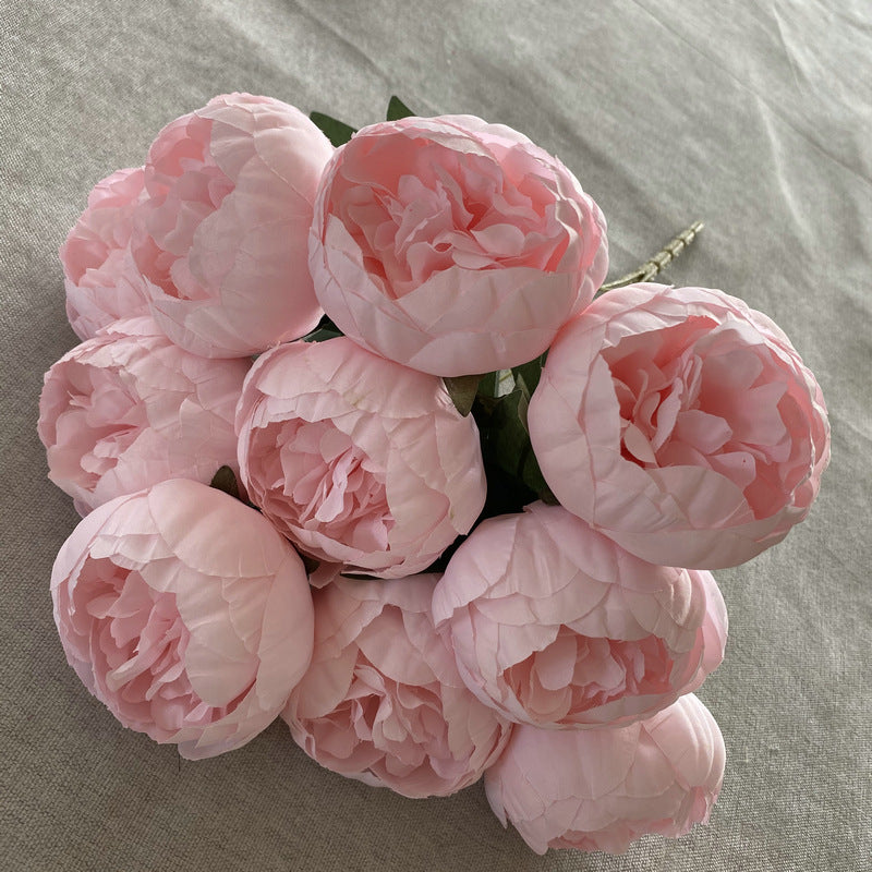 P0025 Ten round peonies