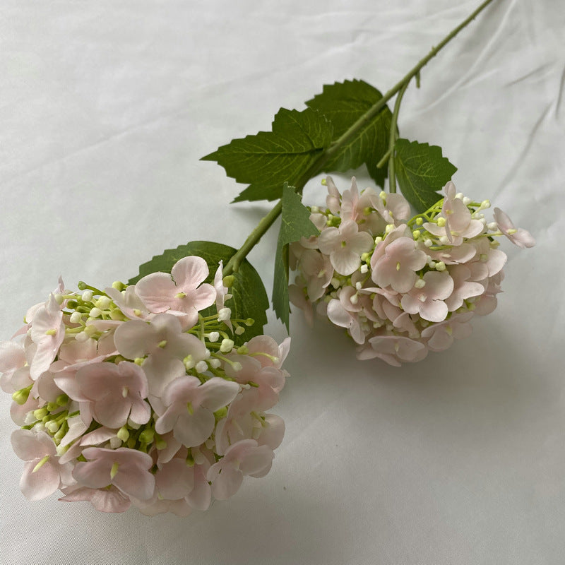 H0017 Hydrangea