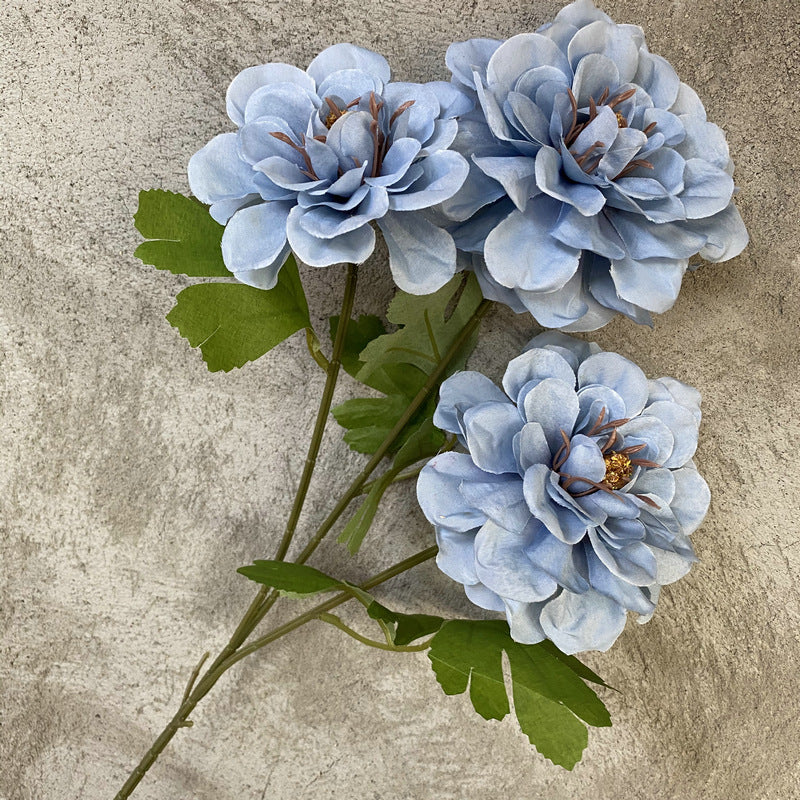 P0019 Three-headed Tianzhu Peony