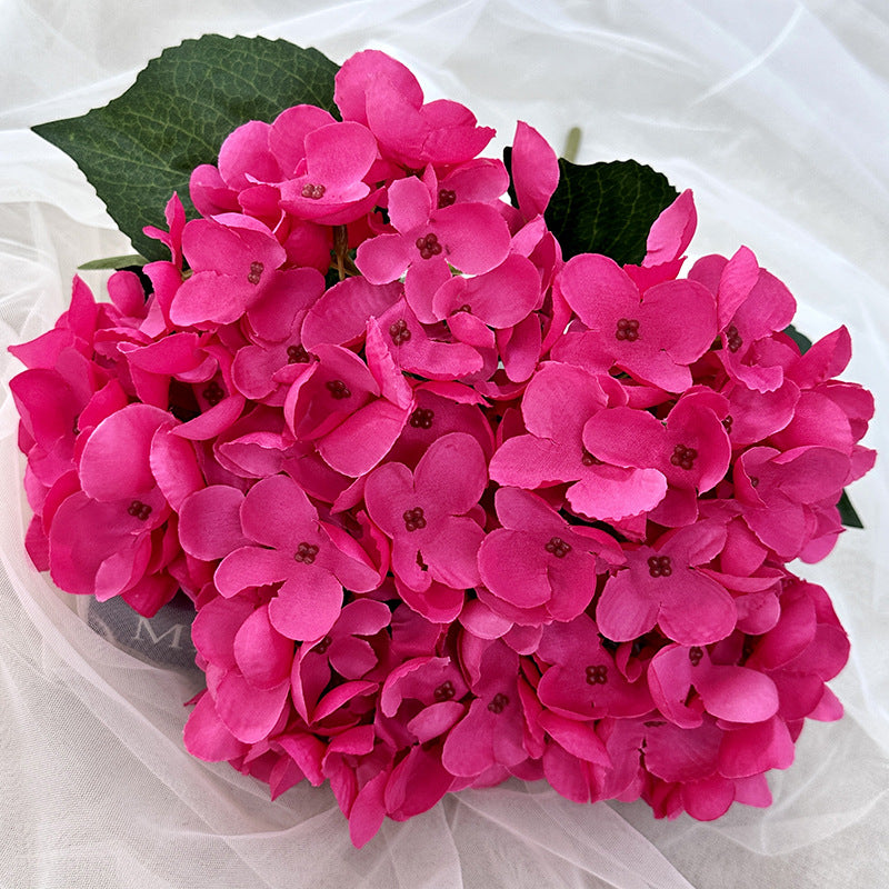 H0007 Hydrangea