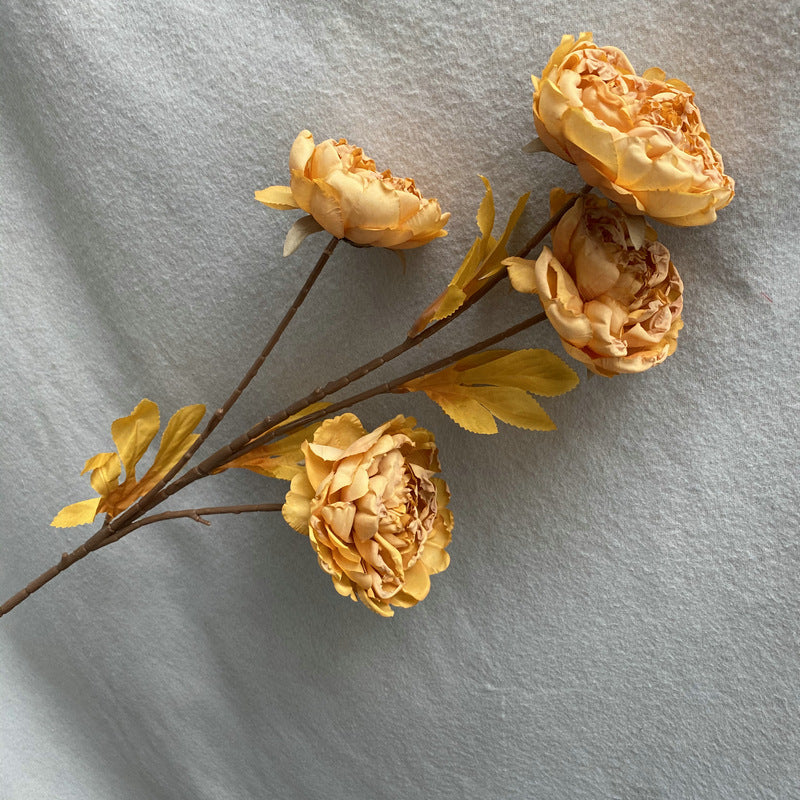 P0037 Four-headed Imperial Peony