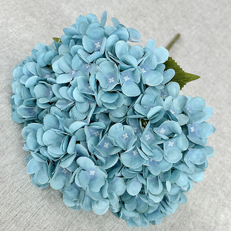 H0034 Hydrangea