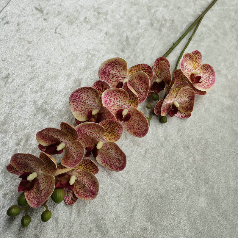 O0018 3D printed phalaenopsis with ten heads and two prongs